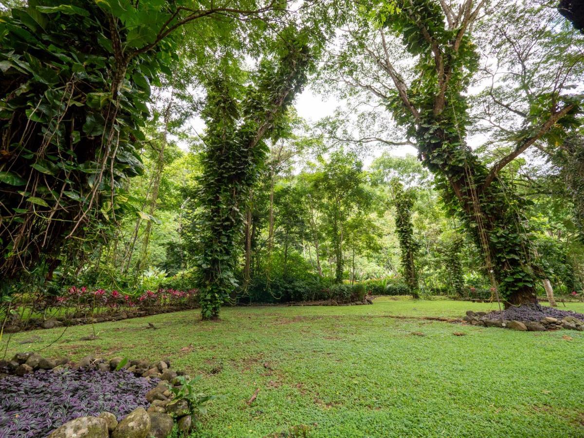 Villa Lapas Jungle Village Tarcoles Bagian luar foto