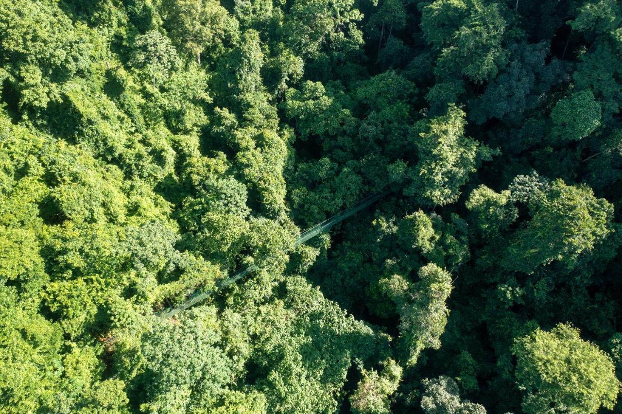 Villa Lapas Jungle Village Tarcoles Bagian luar foto