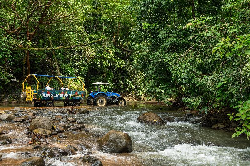 Villa Lapas Jungle Village Tarcoles Bagian luar foto