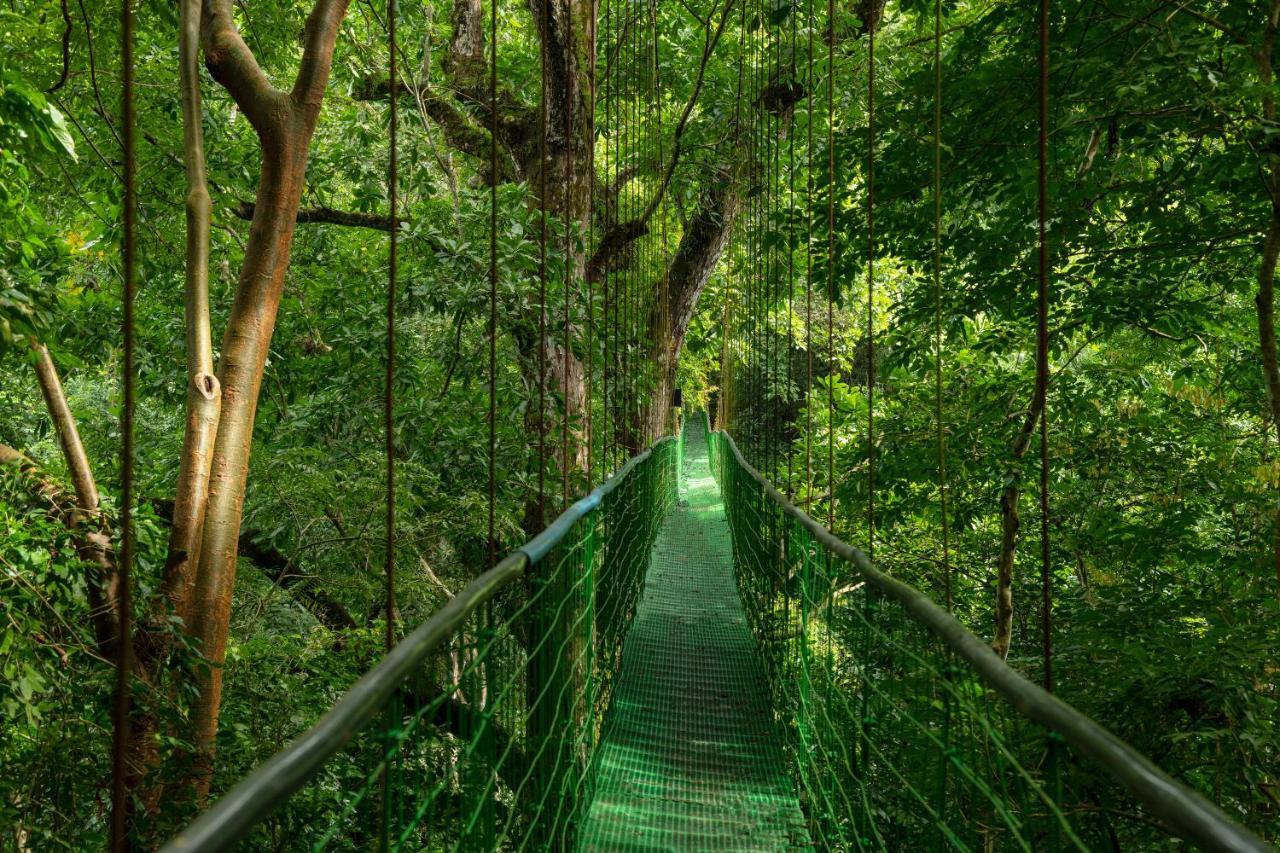 Villa Lapas Jungle Village Tarcoles Bagian luar foto