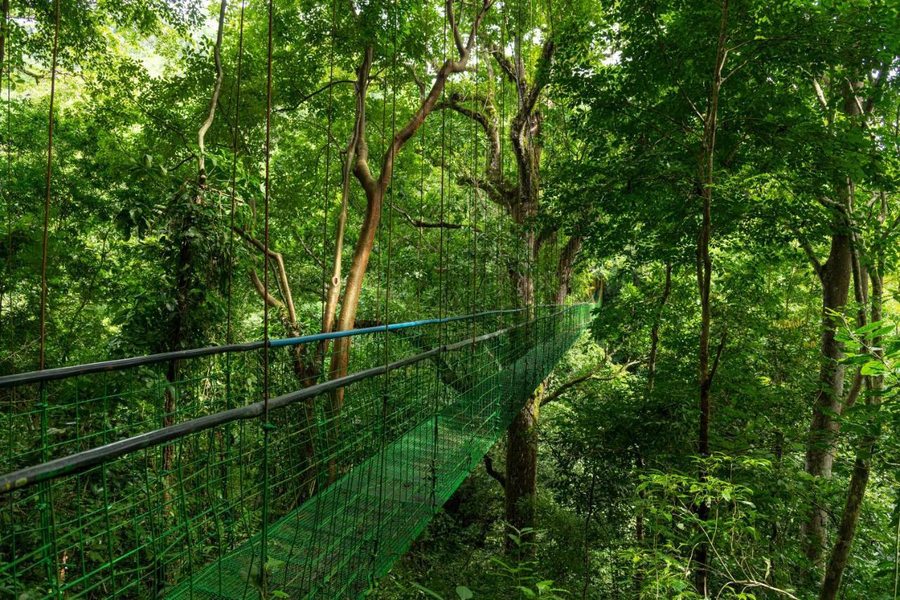 Villa Lapas Jungle Village Tarcoles Bagian luar foto