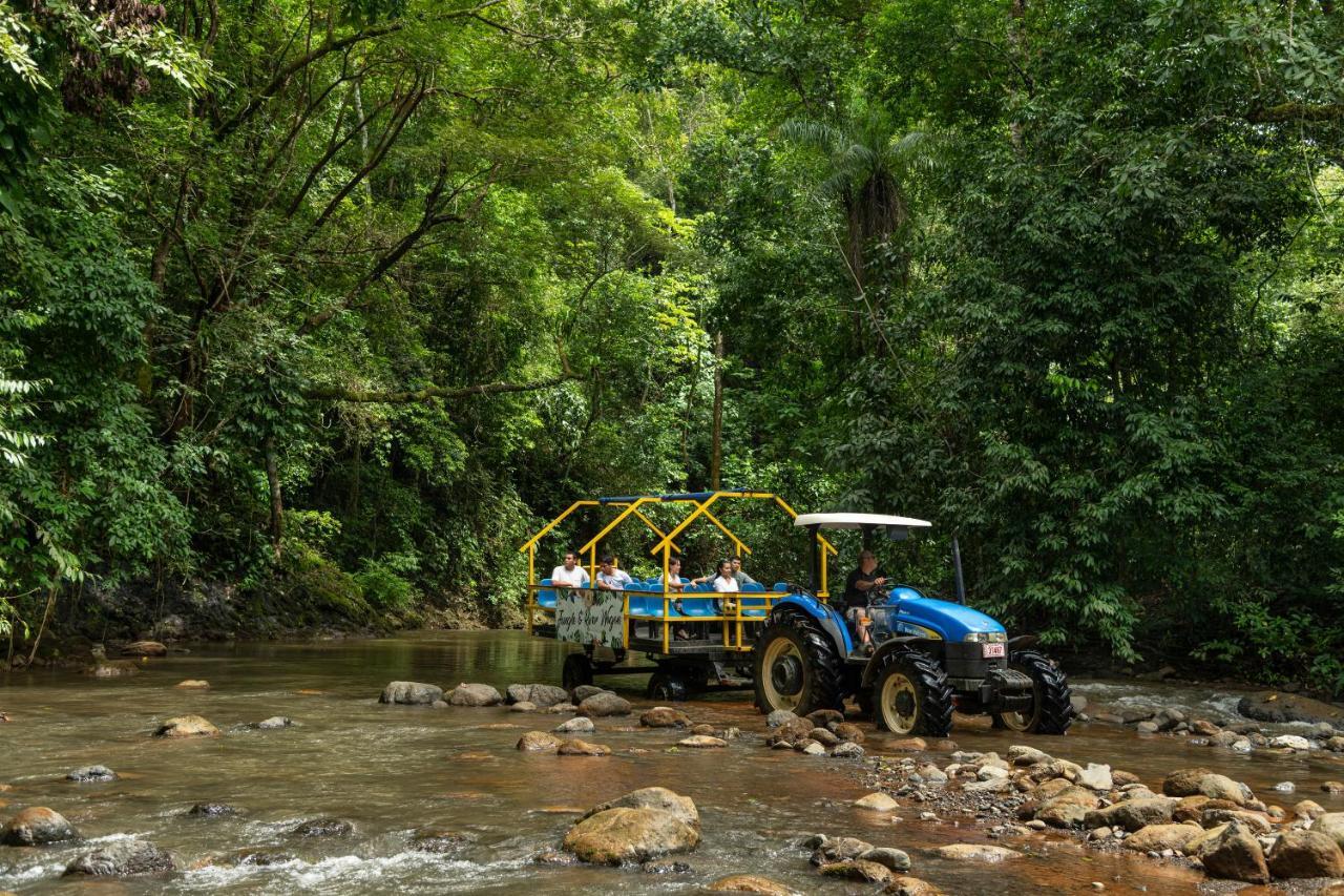 Villa Lapas Jungle Village Tarcoles Bagian luar foto